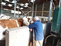 2012-09-20 16-47-54 Visite d'une fabrication de St Nectaire DLe